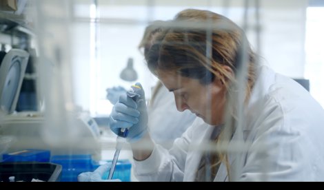 notibrasil sociedade