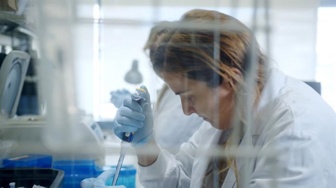 Archivo - Arquivo - A Fundação DiabetesCERO lança dois programas de apoio no valor de 100.000 euros para a pesquisa de uma cura para o diabetes tipo 1.