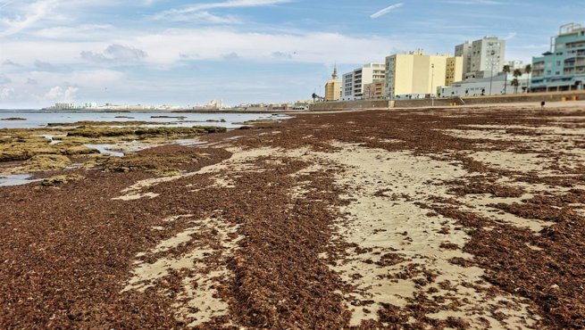 Es Andalucía - Cádiz
