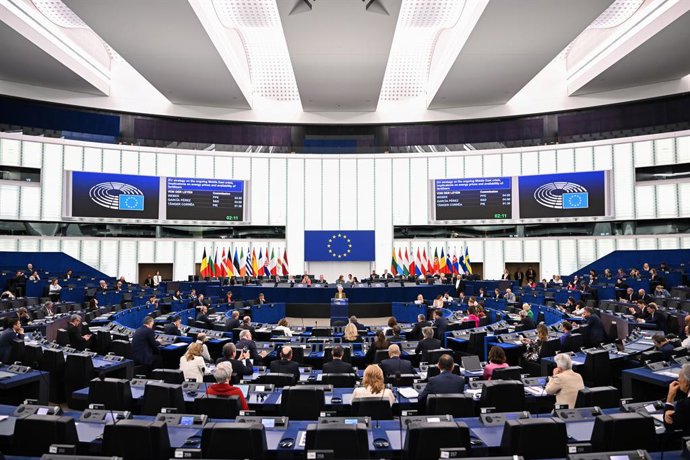 Pleno del Parlamento Europeo en Estrasburgo (Francia)