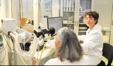 Investigación