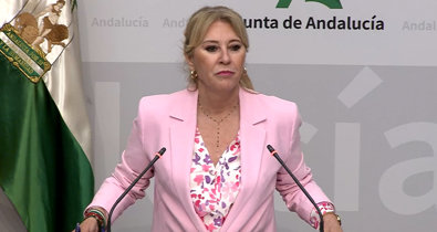 Vídeos