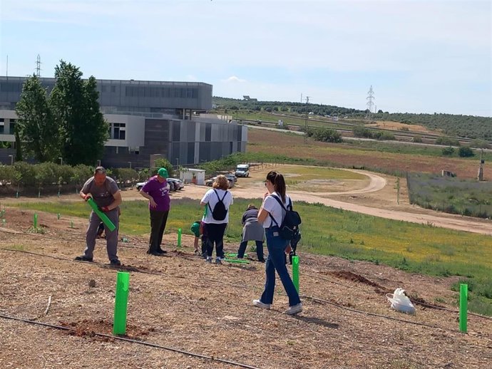 Jornada de plantación de árboles en el Campus Científico-Tecnológico de Linares.
