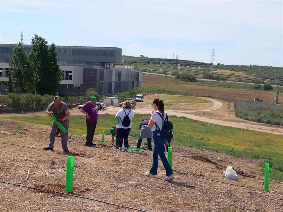 Jornada de plantación de árboles en el Campus Científico-Tecnológico de Linares.