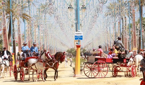 Jerez al día