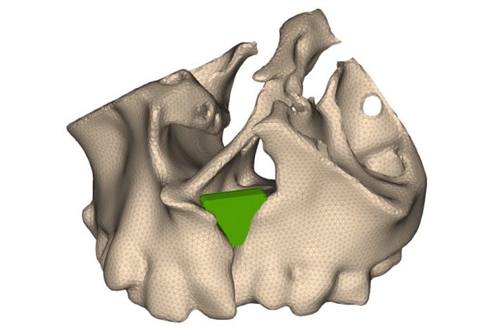 Imagen del proyecto.