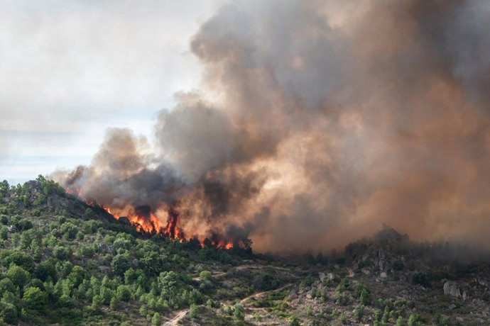 Archivo - Llamas y nubes de humo en el cielo -
