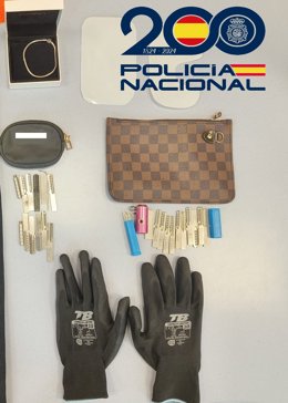 Efectos recogidos trs la detención de un grupo especializado en robos en domicilios de empresarios chinos en Siero.