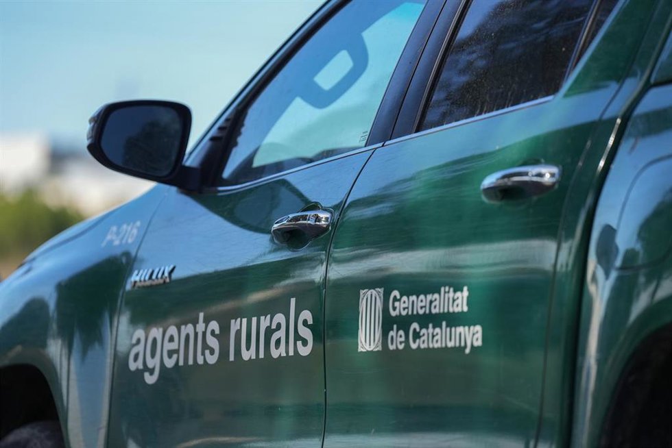 Archivo - Efectivos de los agents rurals de los Mossos d'Esquadra en las zonas restringidas por la cuarentena ante la peste porcina africana, en una imagen de archivo