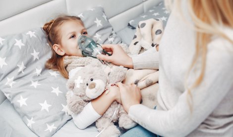 notibrasil sociedade