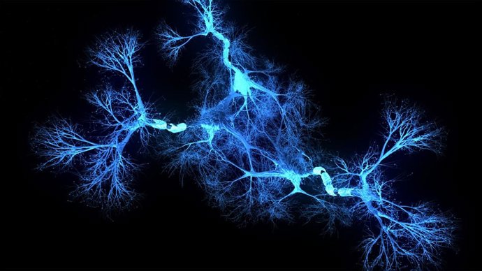 Archivo - Holograma del sistema de neuronas.