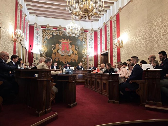 Pleno ordinario de abril del Ayuntamiento de Alicante