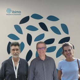 Un estudio impulsado desde Ibima sobre por qué reaparece la evitación tras la terapia de ansiedad.