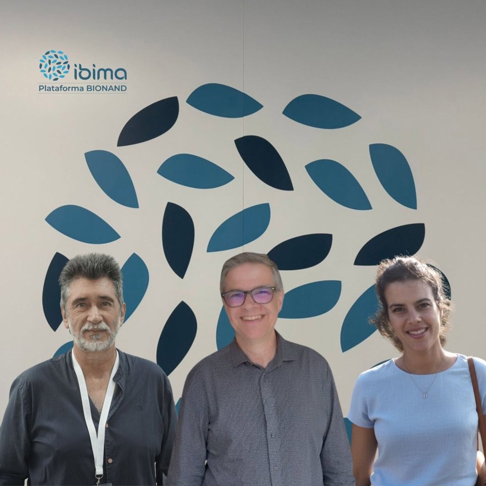 Un estudio impulsado desde Ibima sobre por qué reaparece la evitación tras la terapia de ansiedad.
