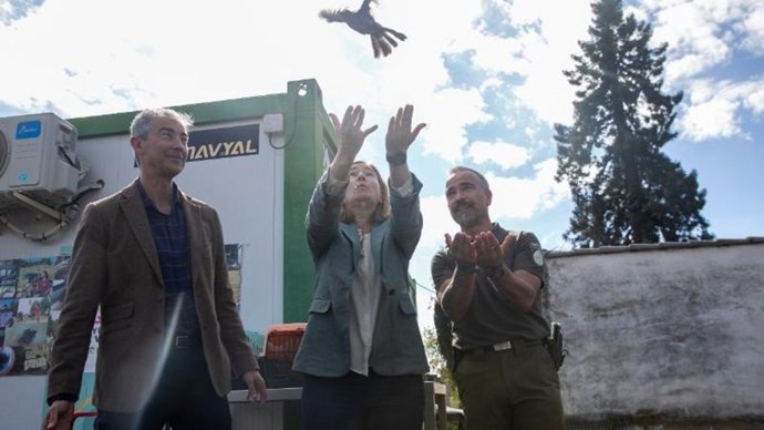 'Ayúdale A Volar' Alcanza Su Sexta Edición Con Más De 400 Voluntarios Comprometidos Con Recuperación De Aves Silvestres