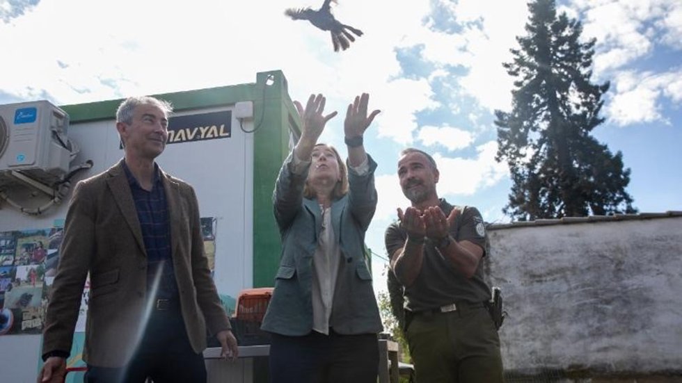 'Ayúdale A Volar' Alcanza Su Sexta Edición Con Más De 400 Voluntarios Comprometidos Con Recuperación De Aves Silvestres