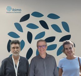 Investigación