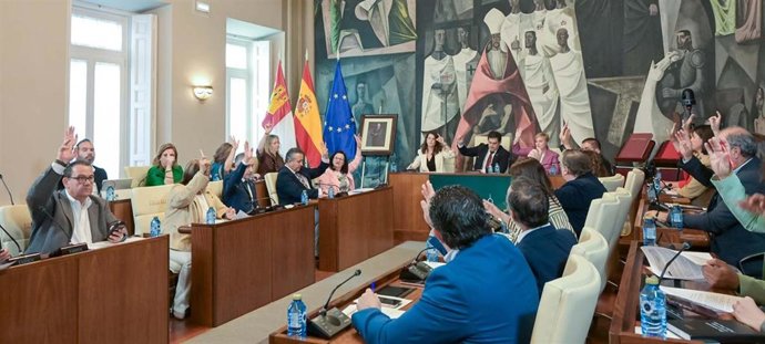 Pleno en la Diputación.