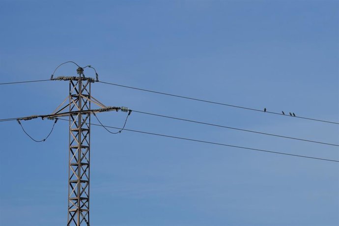 Archivo - Un poste de luz, a 5 de diciembre de 2025, en Barberà del Vallès, Barcelona, Catalunya (España).