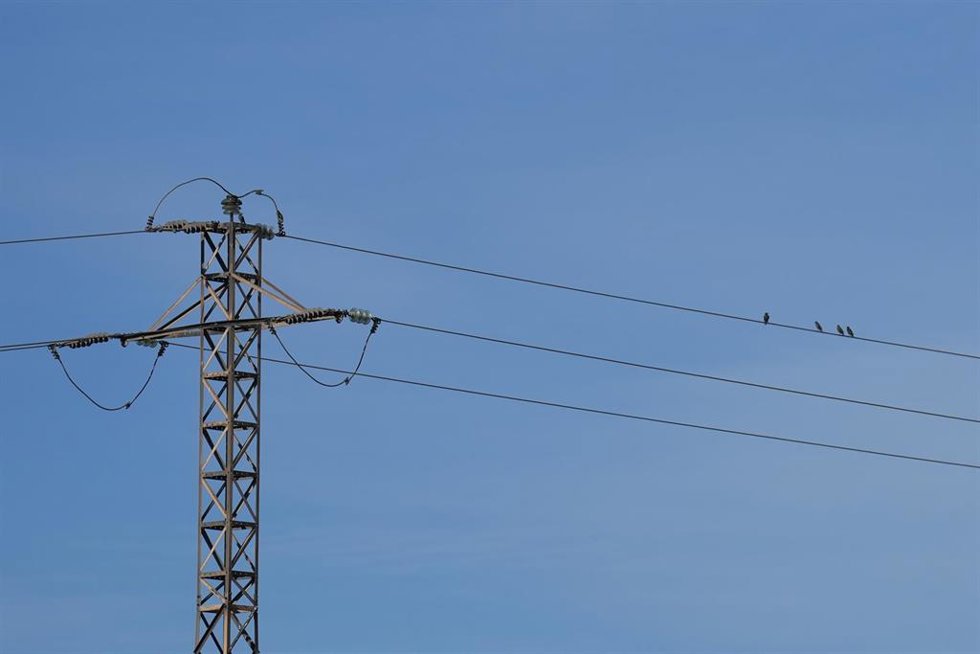Archivo - Un poste de luz, a 5 de diciembre de 2025, en Barberà del Vallès, Barcelona, Catalunya (España).