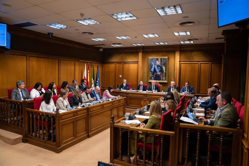 Sesión plenaria de la Diputación de Almería.