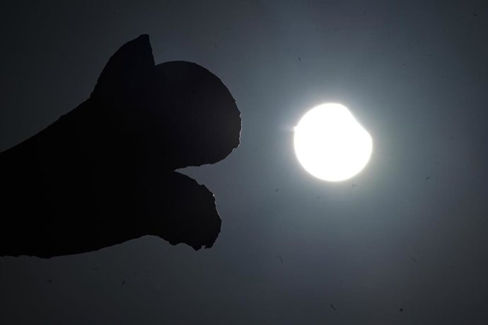 Archivo - Eclipse parcial del sol visto desde el Cementerio Municipal de San Amaro, a 29 de marzo de 2025, en A Coruña, Galicia (España). Durante la mañana de este sábado ha sido posible observar desde España un eclipse parcial de Sol. Este fenómeno, que 