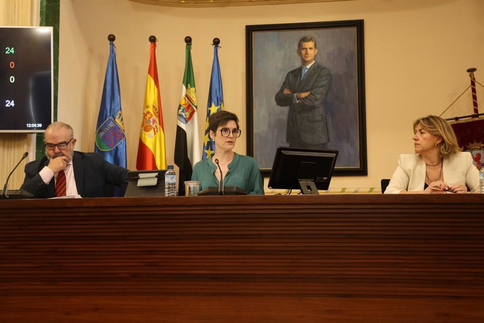Pleno de la Diputación de Badajoz