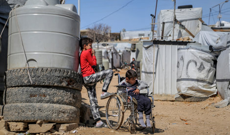 notibrasil sociedade