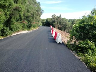 Carretera Estación de San Roque-Los Barrios.