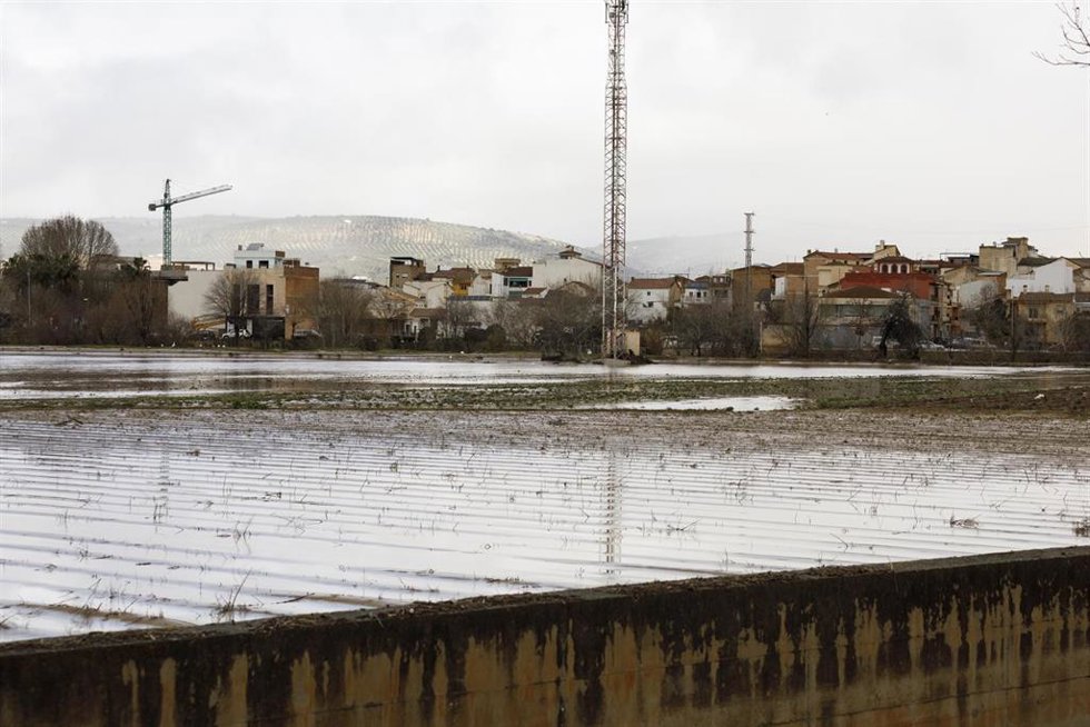 Archivo - Cultivos anegados tras las inundaciones producidas durante el tren de borrascas en Huétor Tájar, Granada (Andalucía, España)