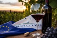 FEV celebra la entrada en vigor del acuerdo Mercosur como un impulso para la diversificación del vino español