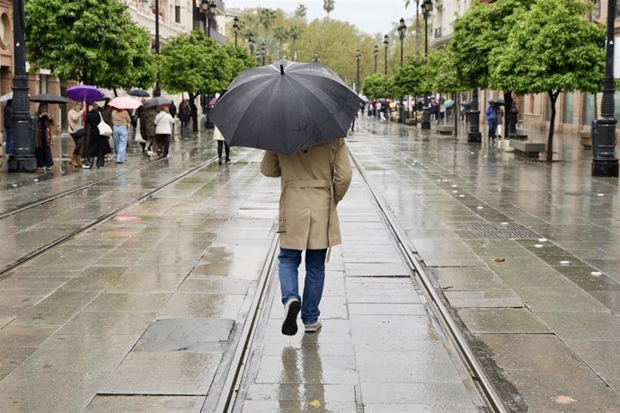 Archivo - Un viandante bajo un paraguas para refugiarse de la lluvia. 
