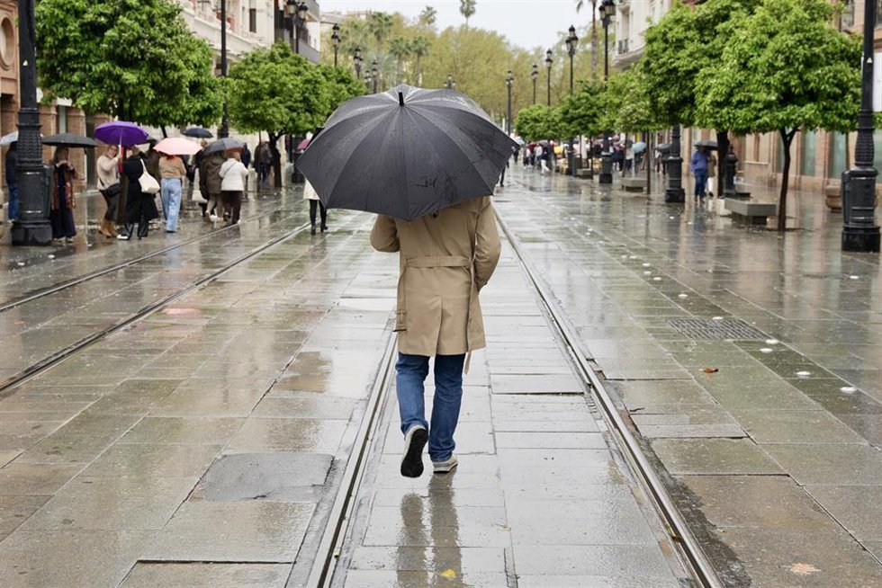 Archivo - Un viandante bajo un paraguas para refugiarse de la lluvia. 