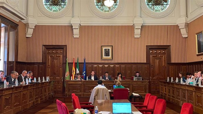 Pleno de la Diputación de Jaén.