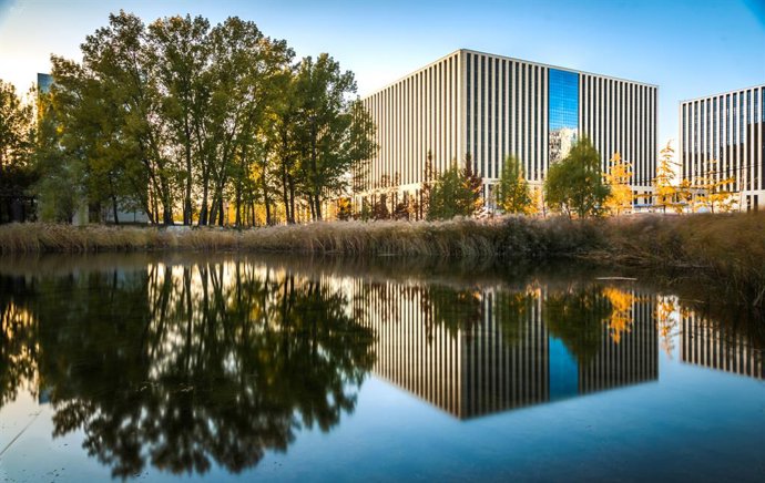 Archivo - La Universitat Politècnica de València (UPV) engega un nou programa formatiu. 