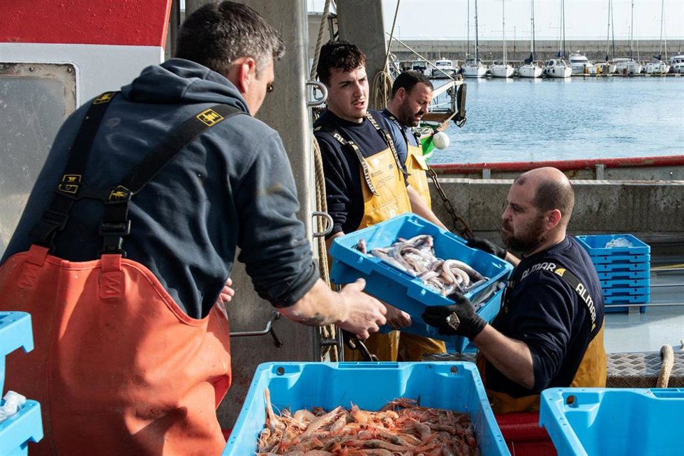 Archivo - Varios pescadores recogen la pesca del día, a 10 de marzo de 2026, en Palamós, Girona, Catalunya (España). 