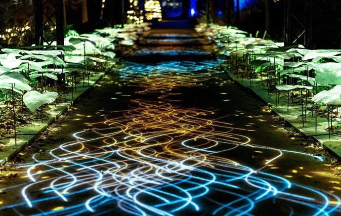 Archivo - Los jardines del Alcázar de los Reyes Cristianos de Córdoba volverán a llenarse de luz con una nueva edición de Naturaleza Encendida, con el espectáculo denominado 'Navegantes'.