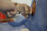 Foto: España registra 3.619 trasplantes de médula ósea en 2025, 225 menos que en 2024, debido al avance de las terapias CAR-T