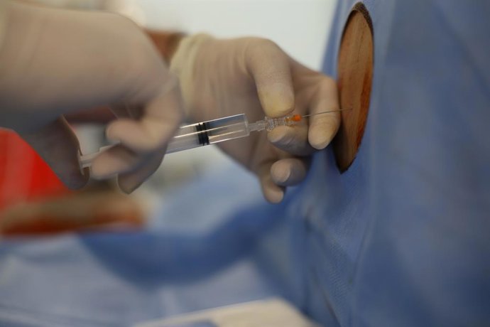 Archivo - Arquivo - Um médico está aplicando raquianestesia em um paciente.