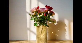 Cómo hacer que las rosas duren más de una semana en casa