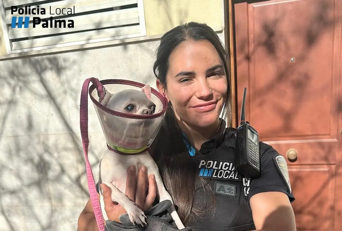 Una agente con el animal rescatado. - POLICÍA LOCAL DE PALMA