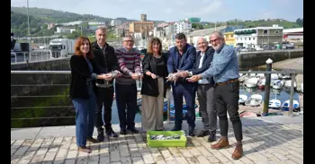 Las bajas capturas de verdel se amortiguan con una evolución "más favorable" de la costera de la anchoa en Euskadi