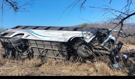 notibrasil sociedade