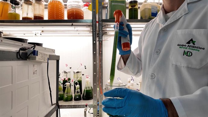 Desarrollo de nuevos bioestimulantes basados en microalgas