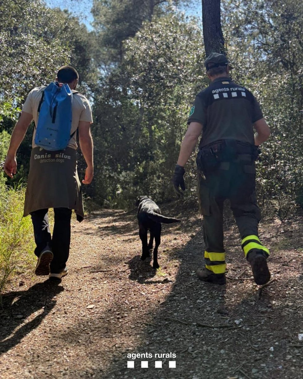 Binomio canino junto a un Agent Rural