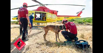 Muere Titan, un perro del Consorcio de Bomberos de Alicante con más de 80 búsquedas y "una hoja impecable"