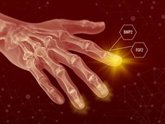 Foto: ¿Regenerar extremidades será posible? Un estudio consigue, de momento, crear hueso, tendones y ligamentos