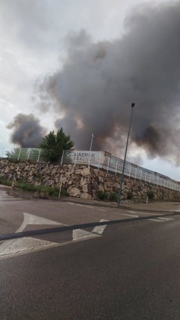 Incendio iniciado este domingo de madrugada en una campa del PTR Industrias López Soriano.