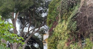 Málaga