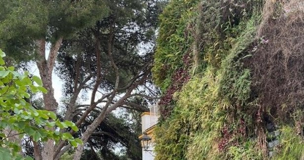 Málaga